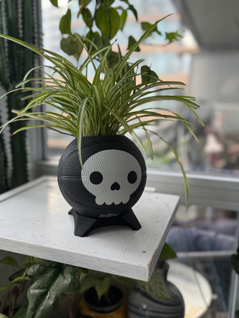 Ultra-Mini Basketball Planter (Skeleton)