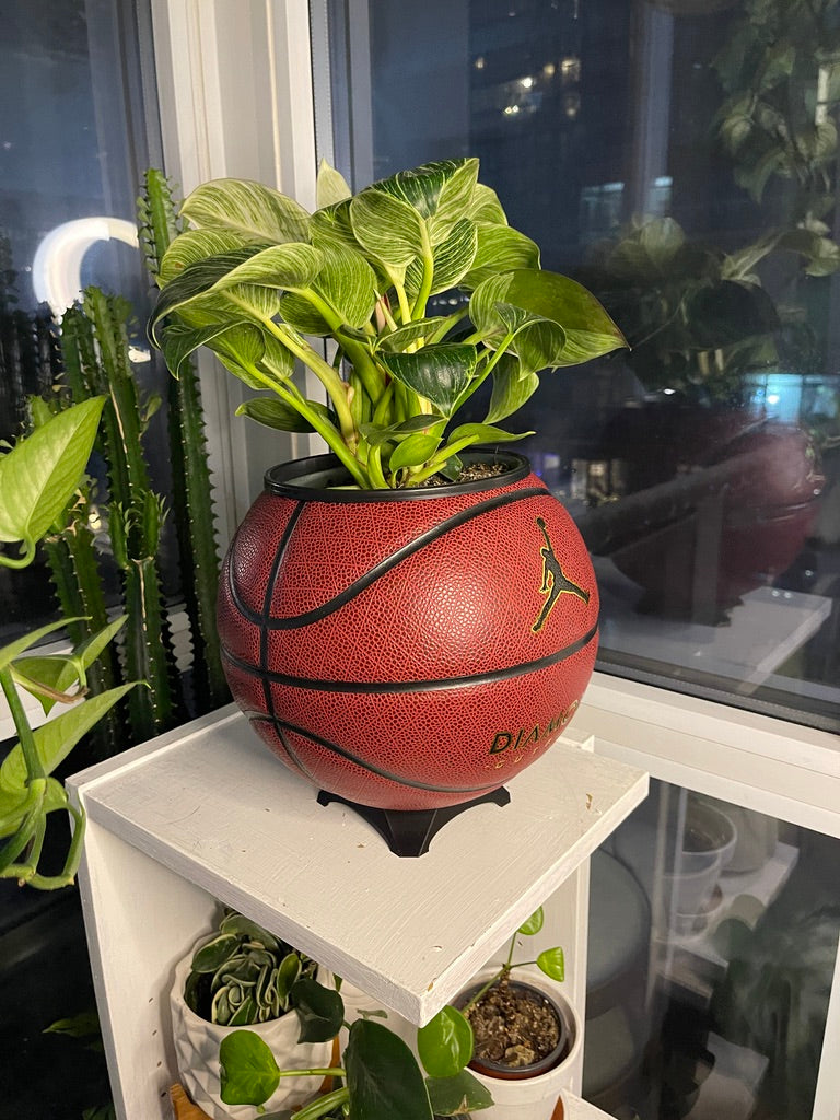 Nike Jordan Large Basketball Planter (Red Diamond)
