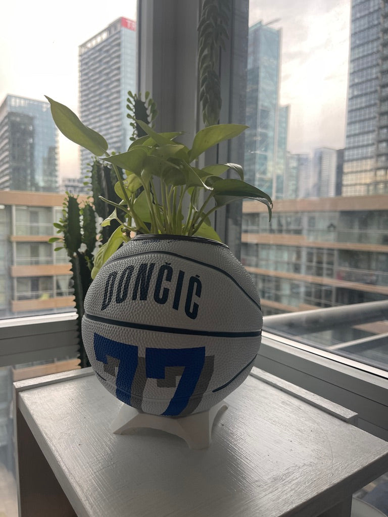 Mini Basketball Planter (Luka Doncic)