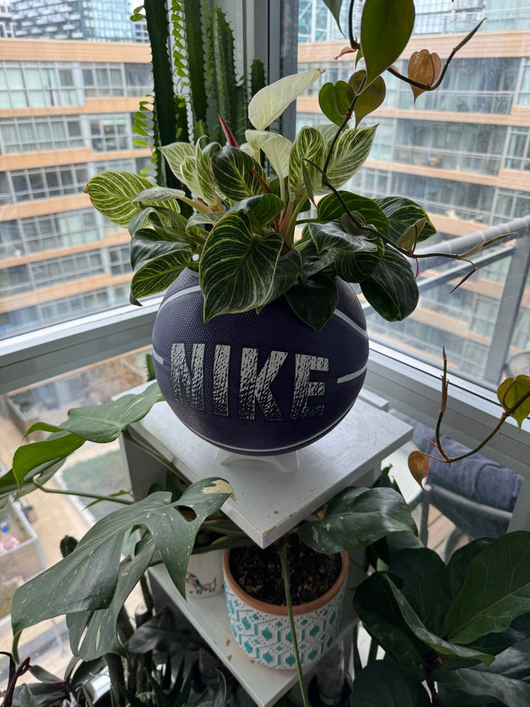 Nike Large Basketball Planter (Nike Purple)