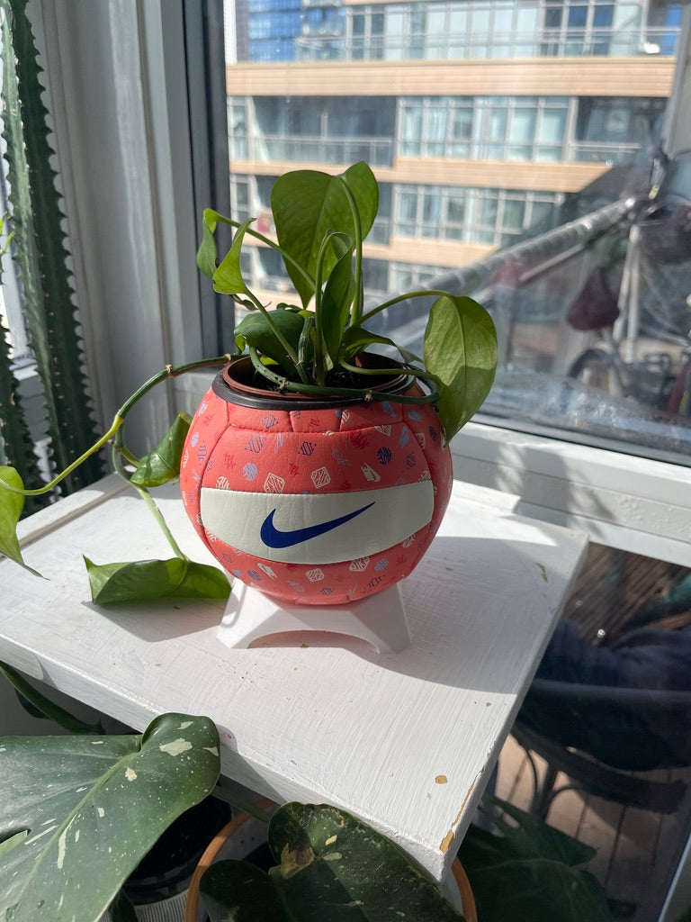Nike Mini Volleyball Planter (Peach Pit)