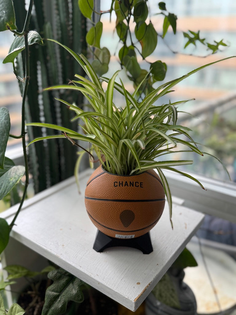 Ultra-Mini Basketball Planter (Reindeer)