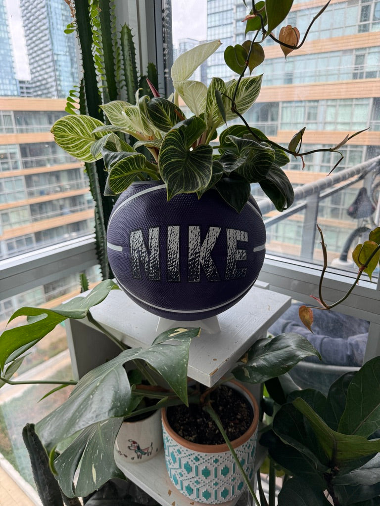 Nike Large Basketball Planter (Nike Purple)