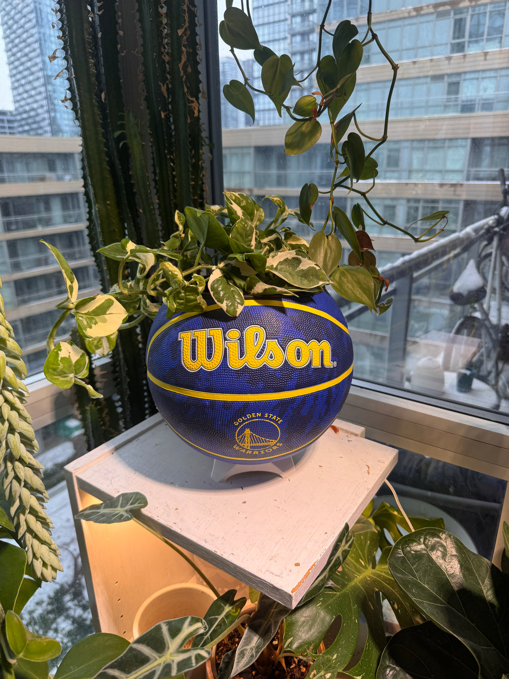 Large Basketball Planter (Golden State Warriors)