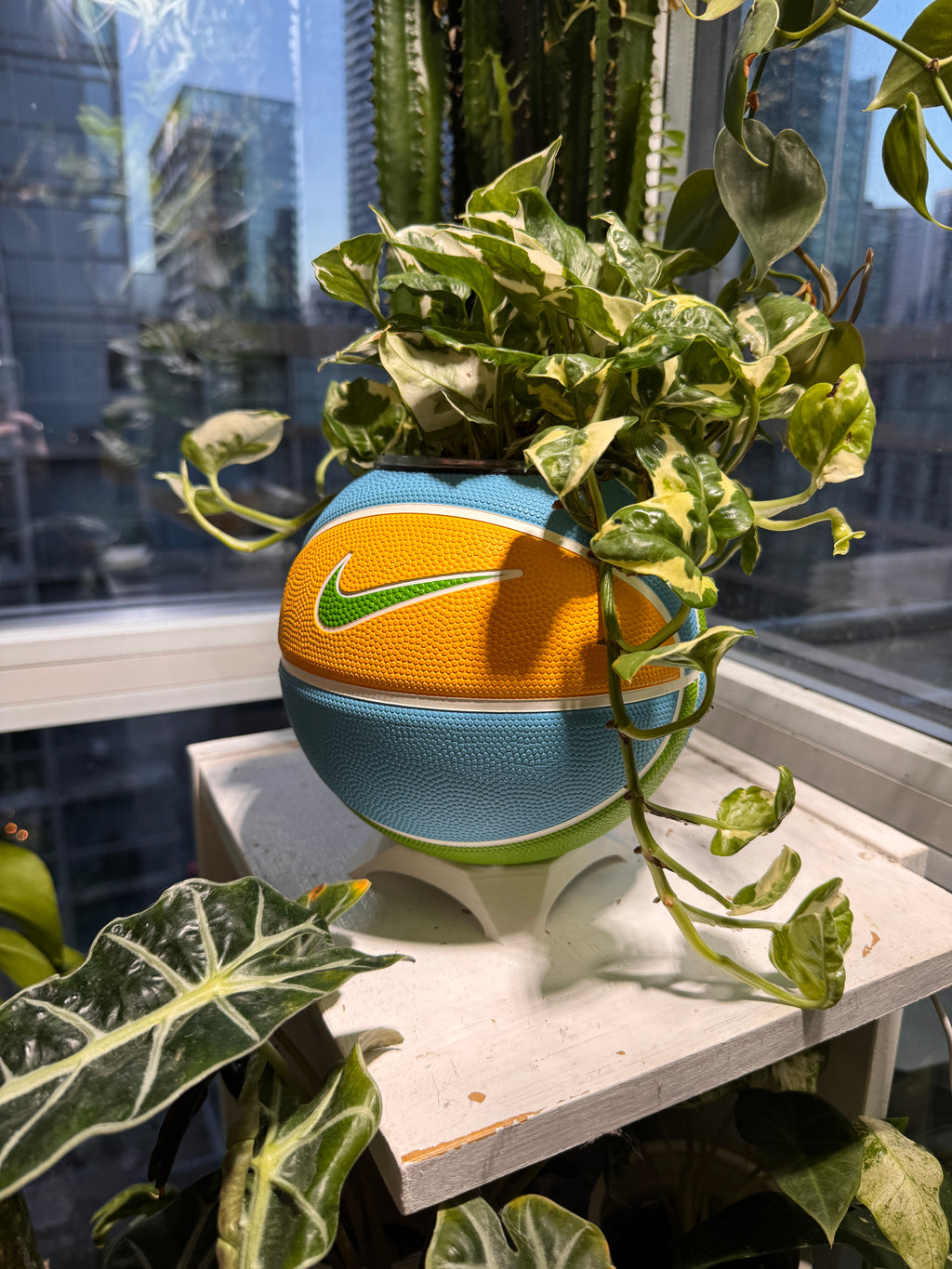 Nike Mini Basketball Planter (Blue Sunshine)