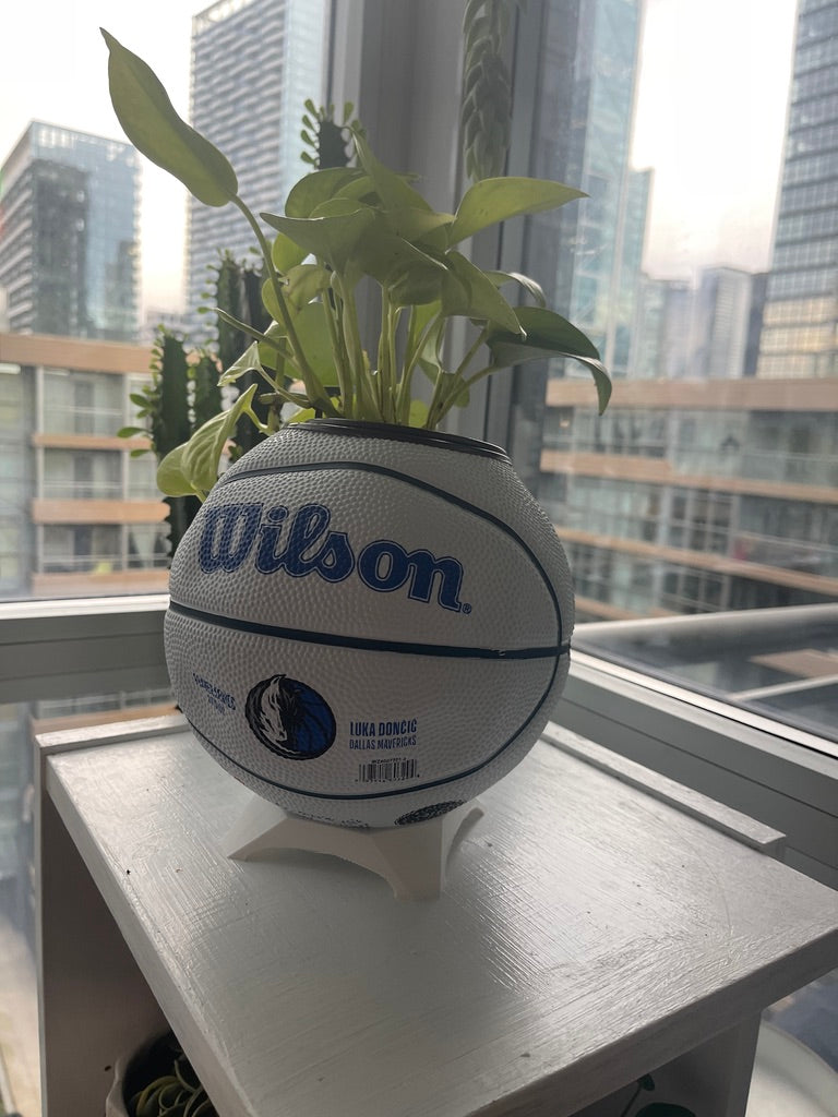 Mini Basketball Planter (Luka Doncic)