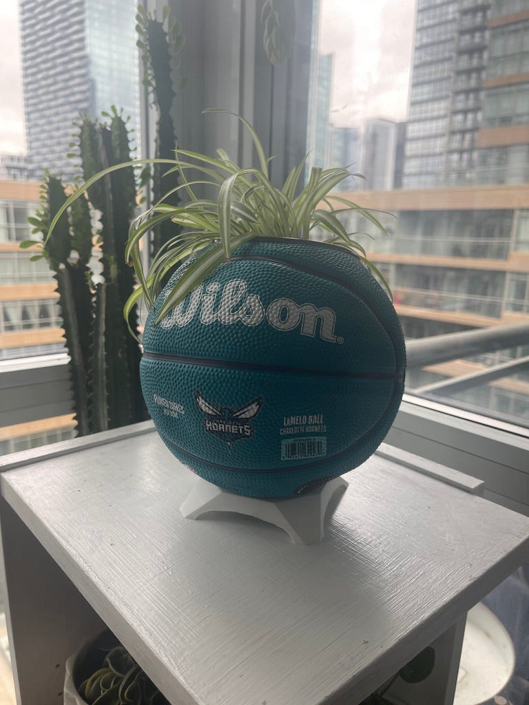 Mini Basketball Planter (Lamelo Ball)