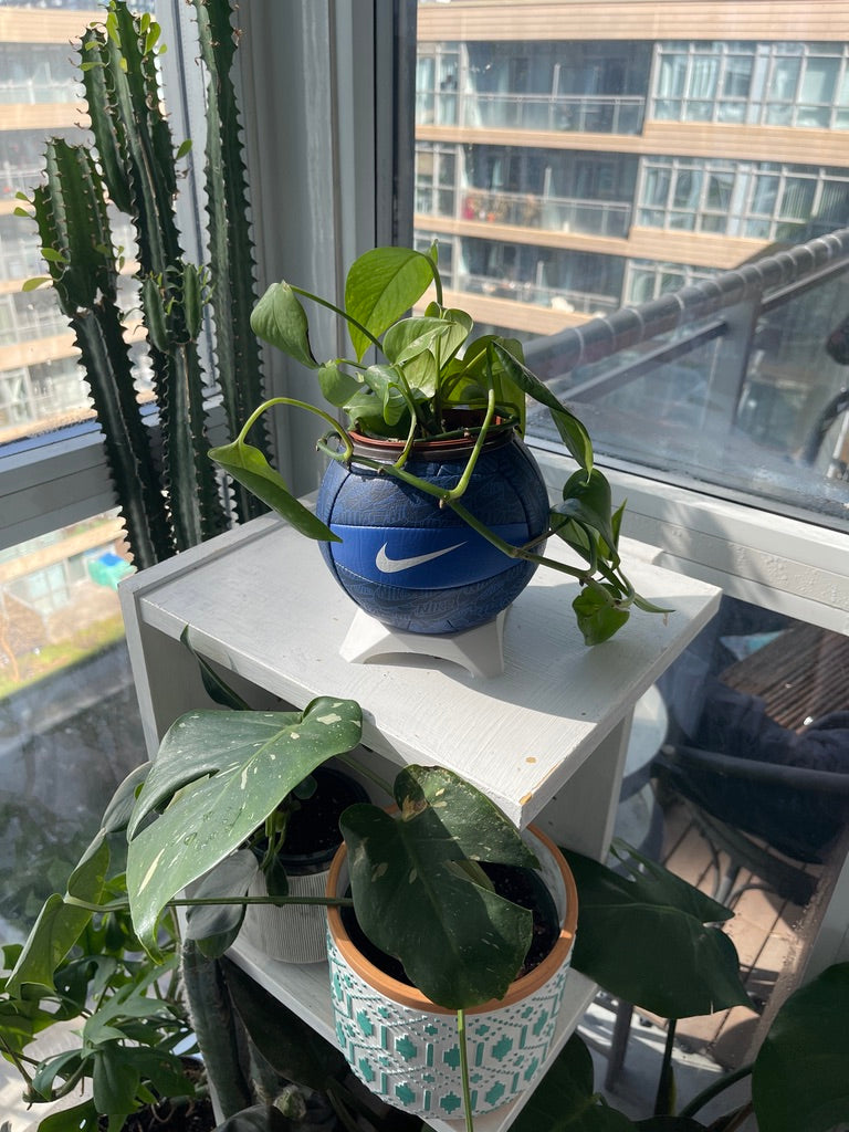 Nike Mini Volleyball Planter (Blueberry)
