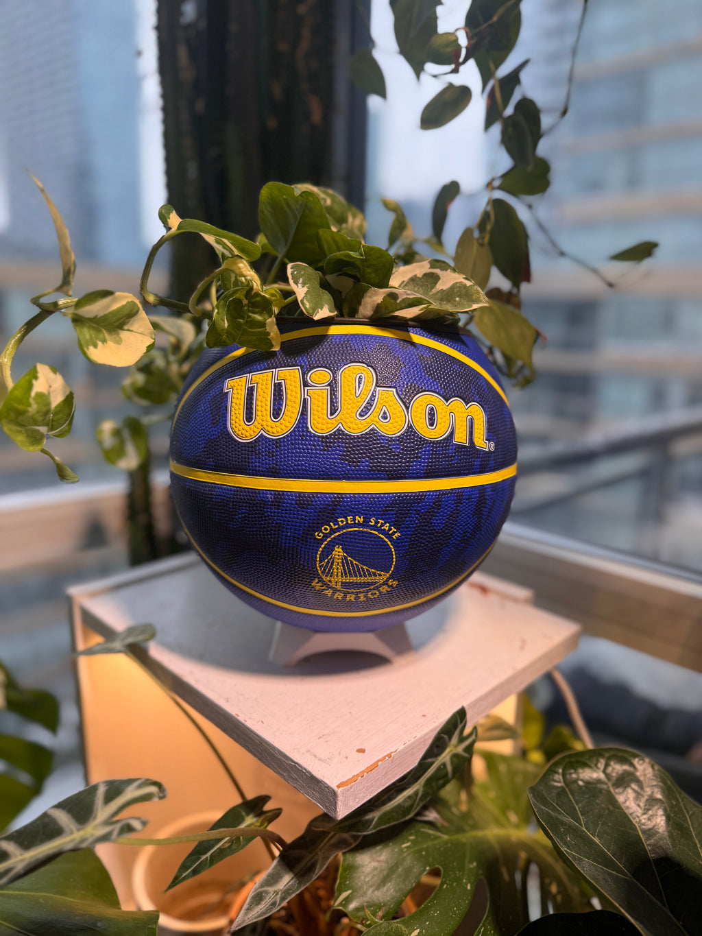 Large Basketball Planter (Golden State Warriors)