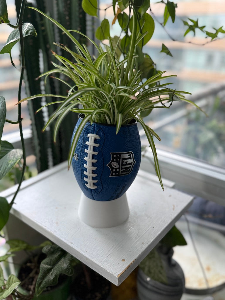 Mini Football Planter (The NFL OG - Blue)