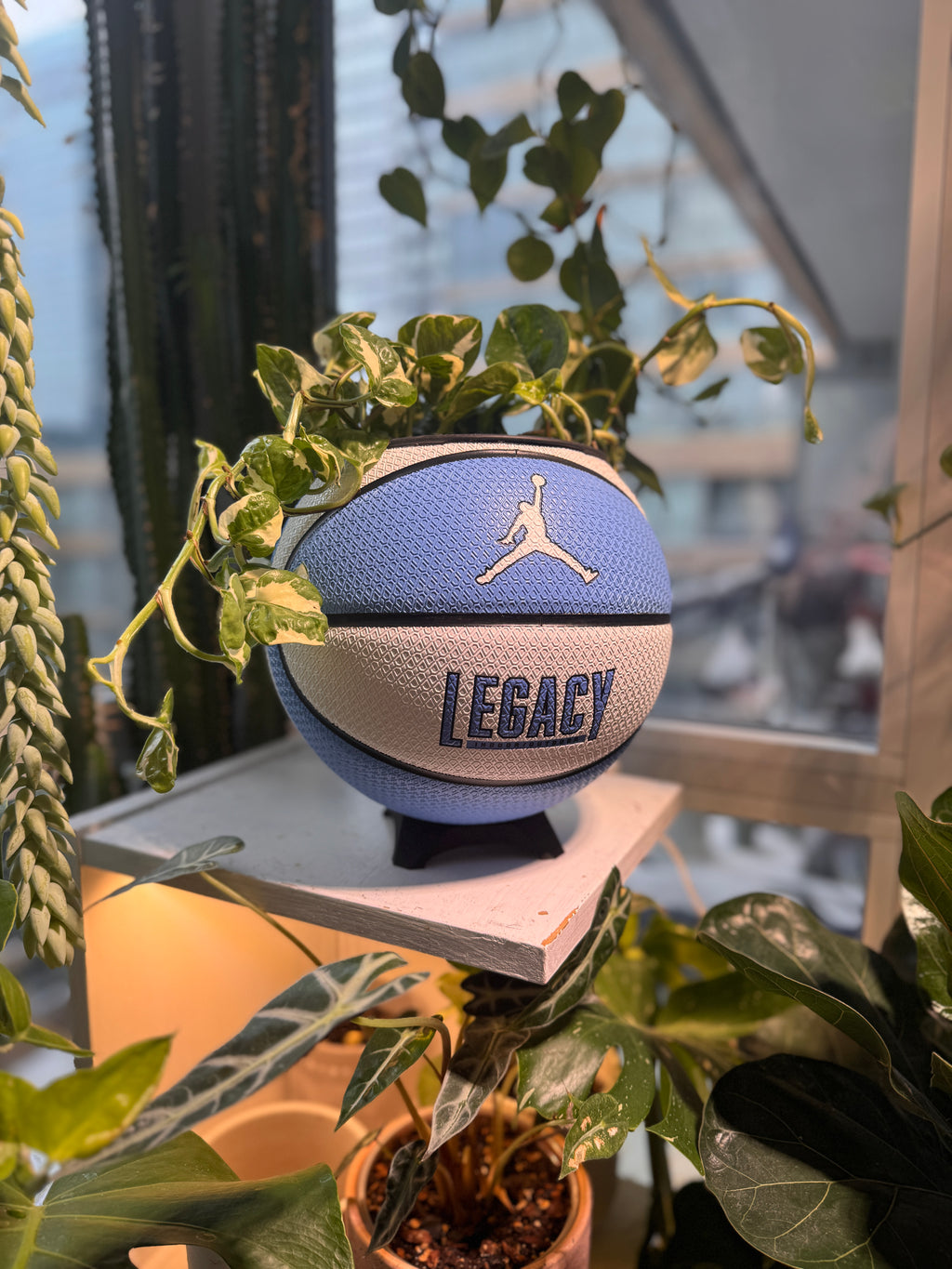 Nike Jordan Large Basketball Planter (UNC Blue & White)