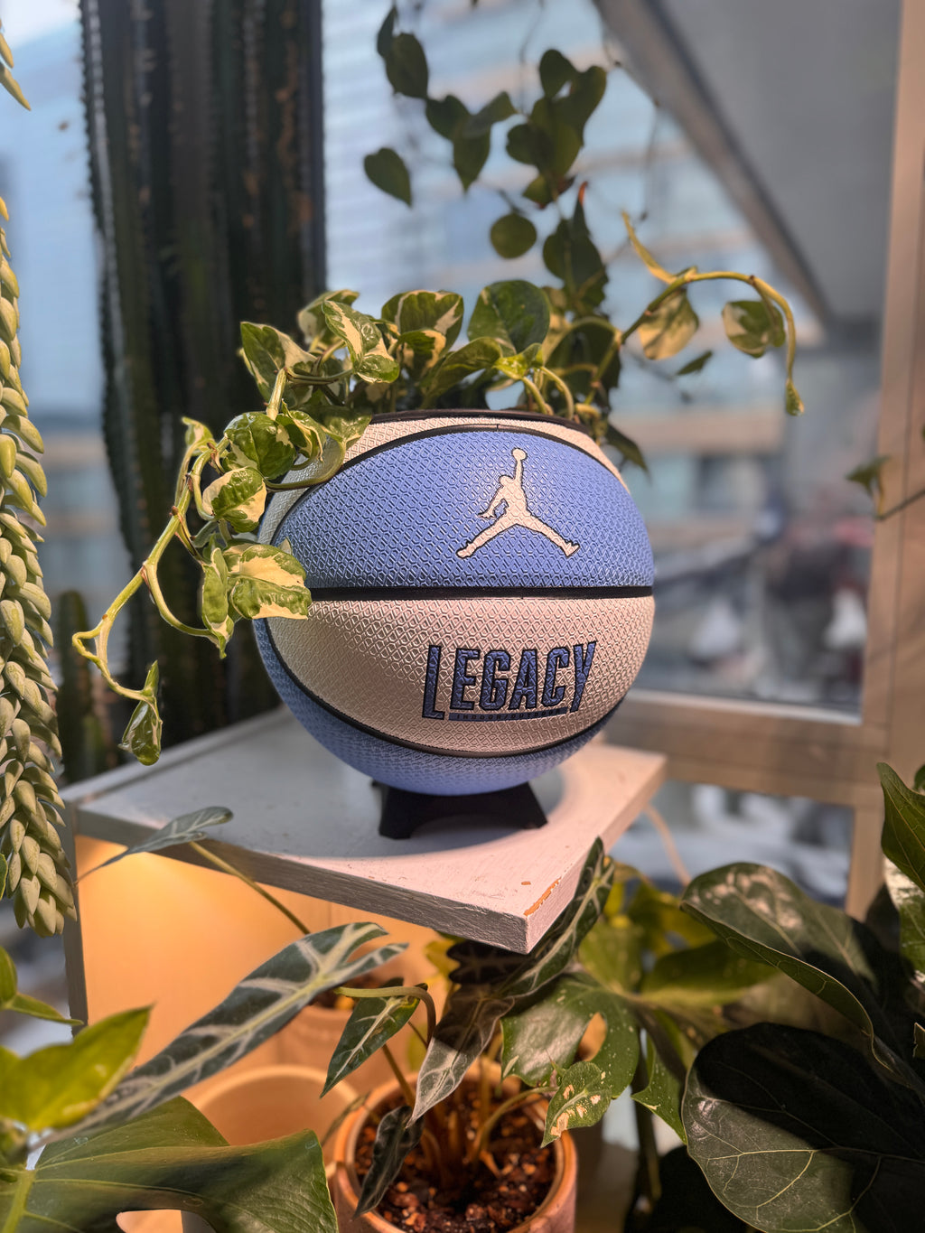 Nike Jordan Large Basketball Planter (UNC Blue & White)