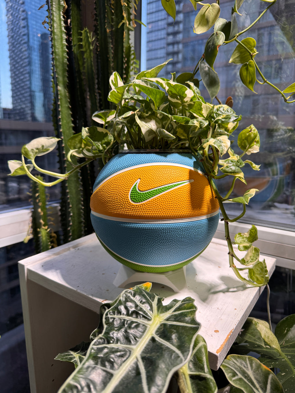Nike Mini Basketball Planter (Blue Sunshine)