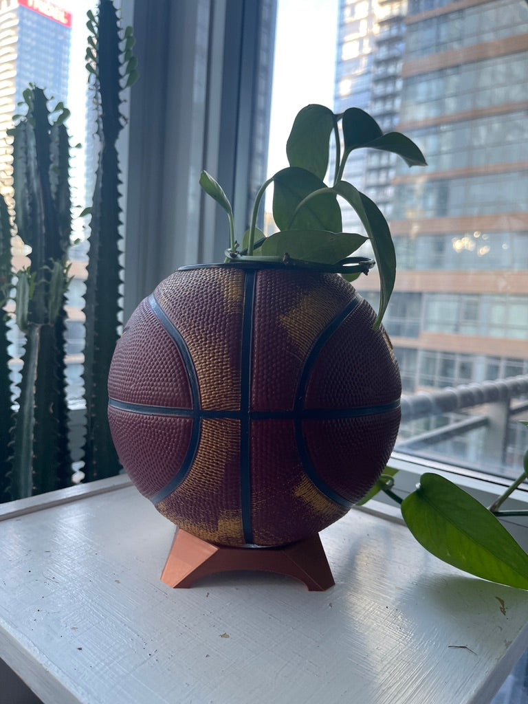 Nike Mini Basketball Planter (Lebron James)
