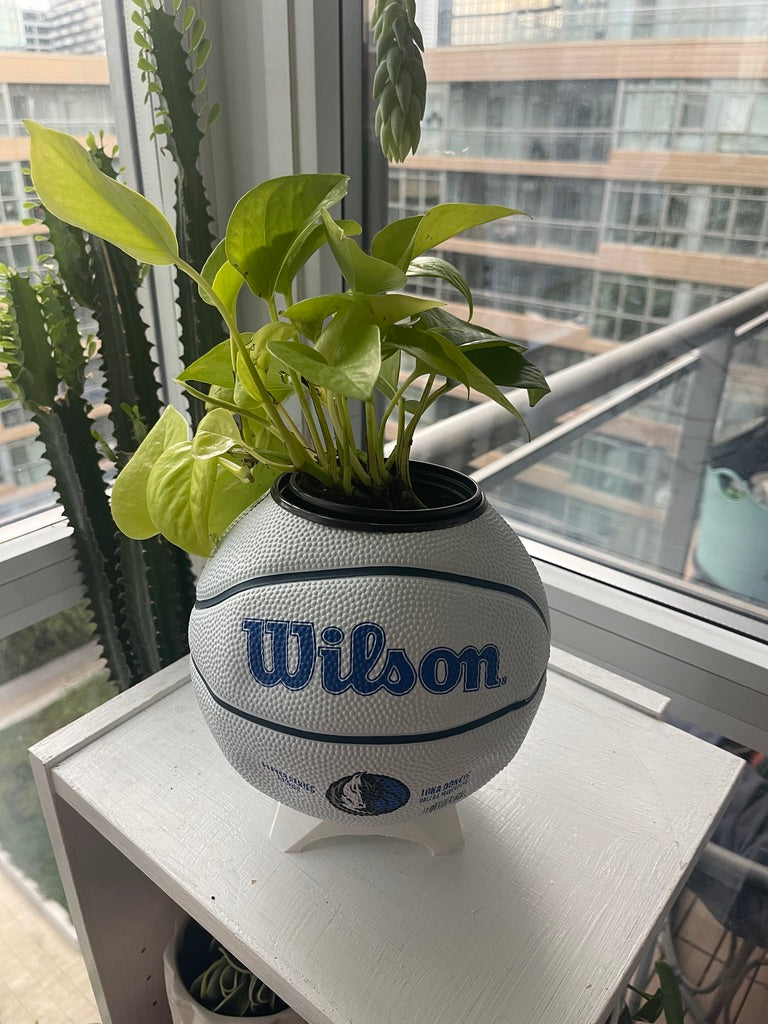 Mini Basketball Planter (Luka Doncic)