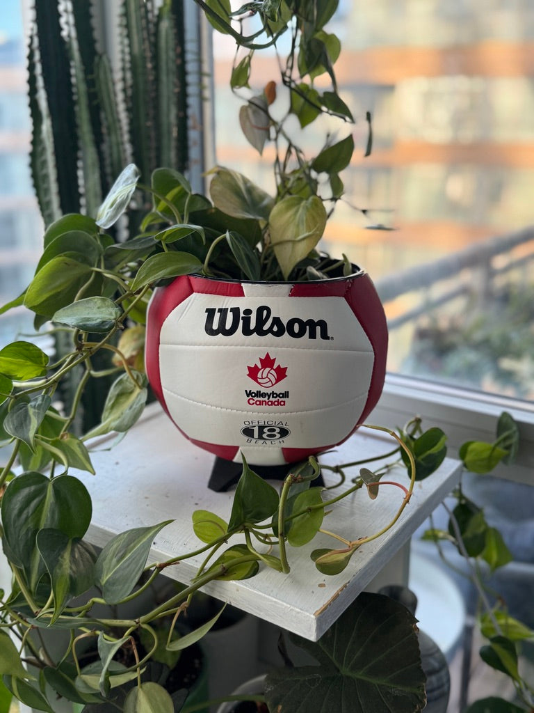 Large Volleyball Planter (Volleyball Canada)