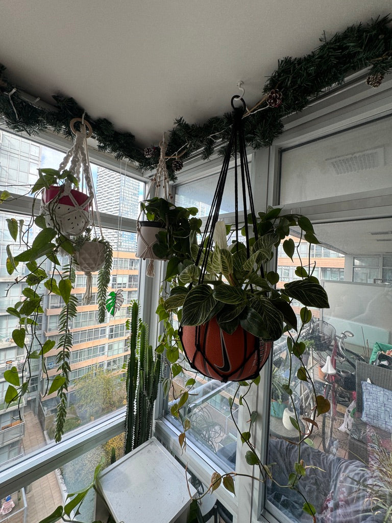 Nike Large Basketball Hanging Planter (Black Macrame - Original Reversed)