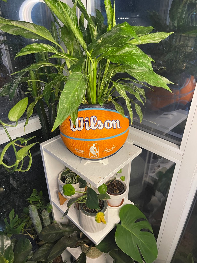 Large Basketball Planter (Phoenix Suns)
