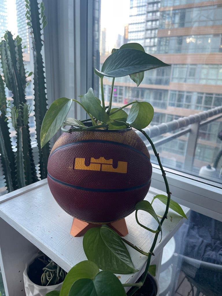 Nike Mini Basketball Planter (Lebron James)