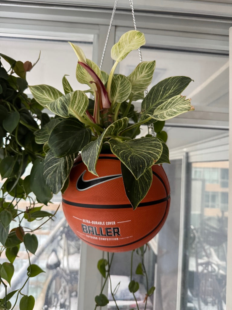 Nike Large Basketball Hanging Planter (Baller - Silver Chain)