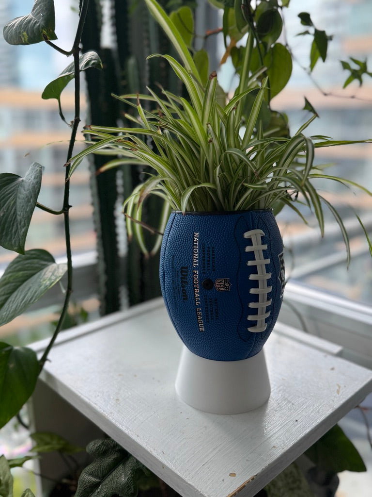 Mini Football Planter (The NFL OG - Blue)