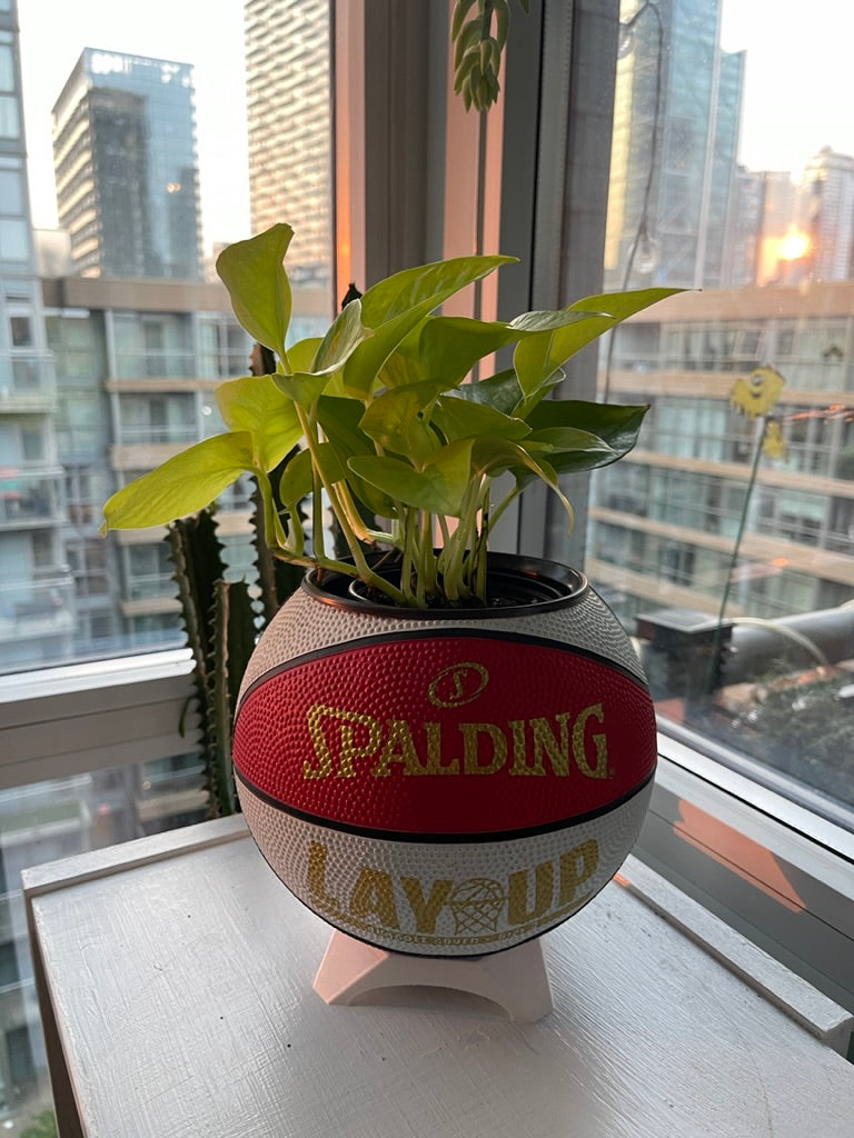 Mini Basketball Planter (Red, White, & Blue Lay Up)