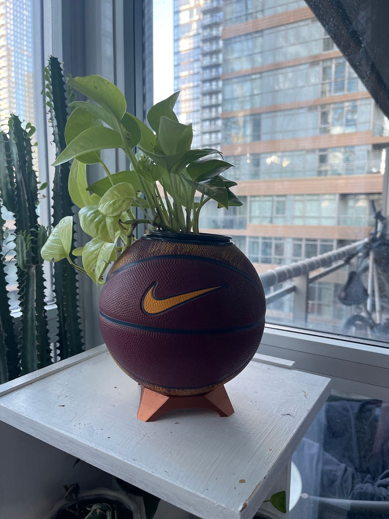 Nike Mini Basketball Planter (Lebron James)