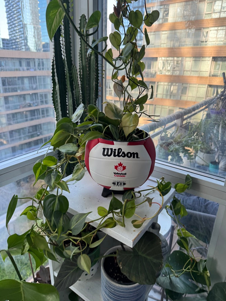 Large Volleyball Planter (Volleyball Canada)