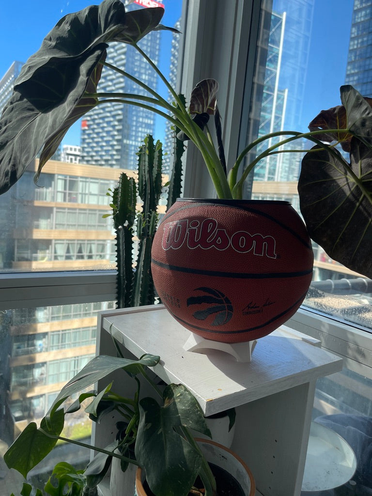 Large Basketball Planter (Toronto Raptors Original)