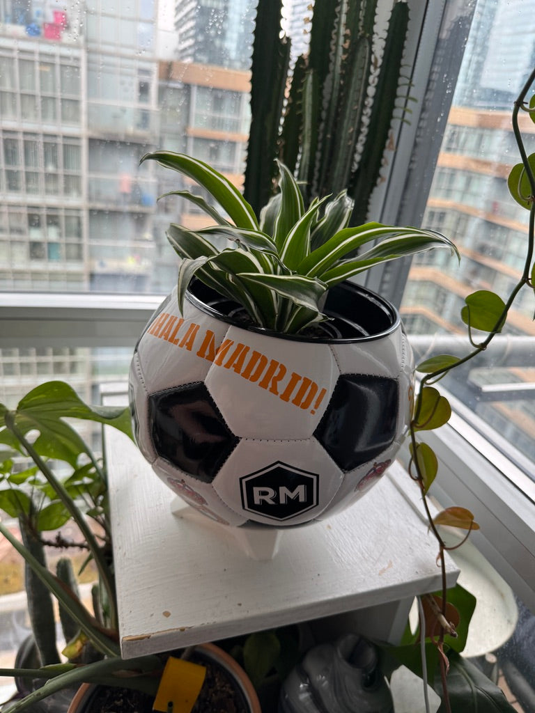 Large Soccer Ball Planter (Real Madrid CF)