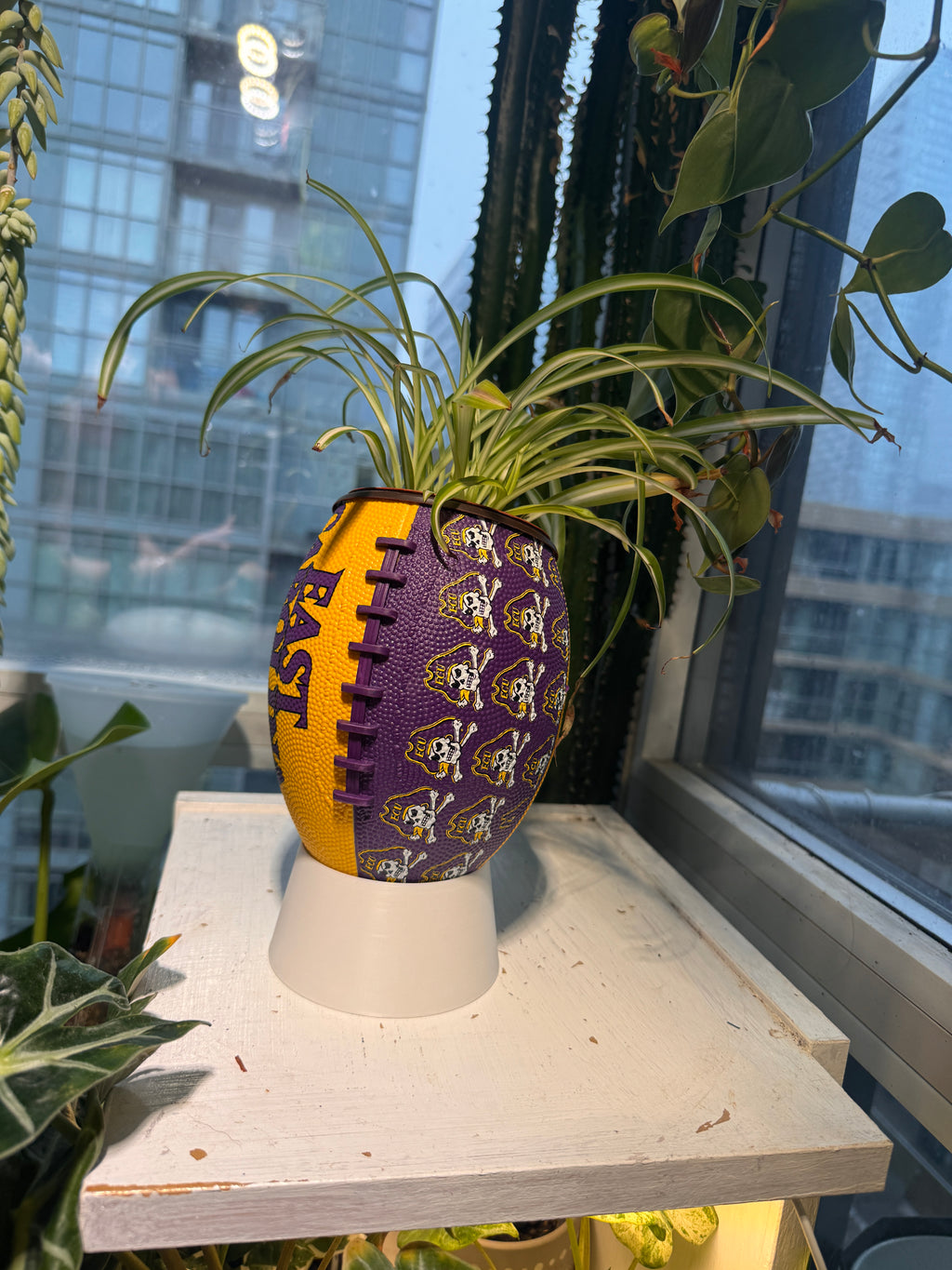 Mini Football Planter (East Carolina University Pirates)
