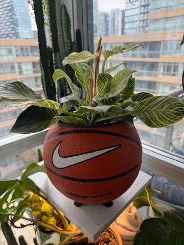 Nike Large Basketball Planter (OG White Playground)