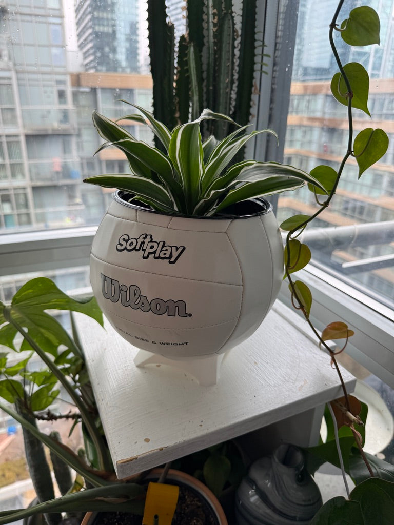 Large Volleyball Planter (Original)