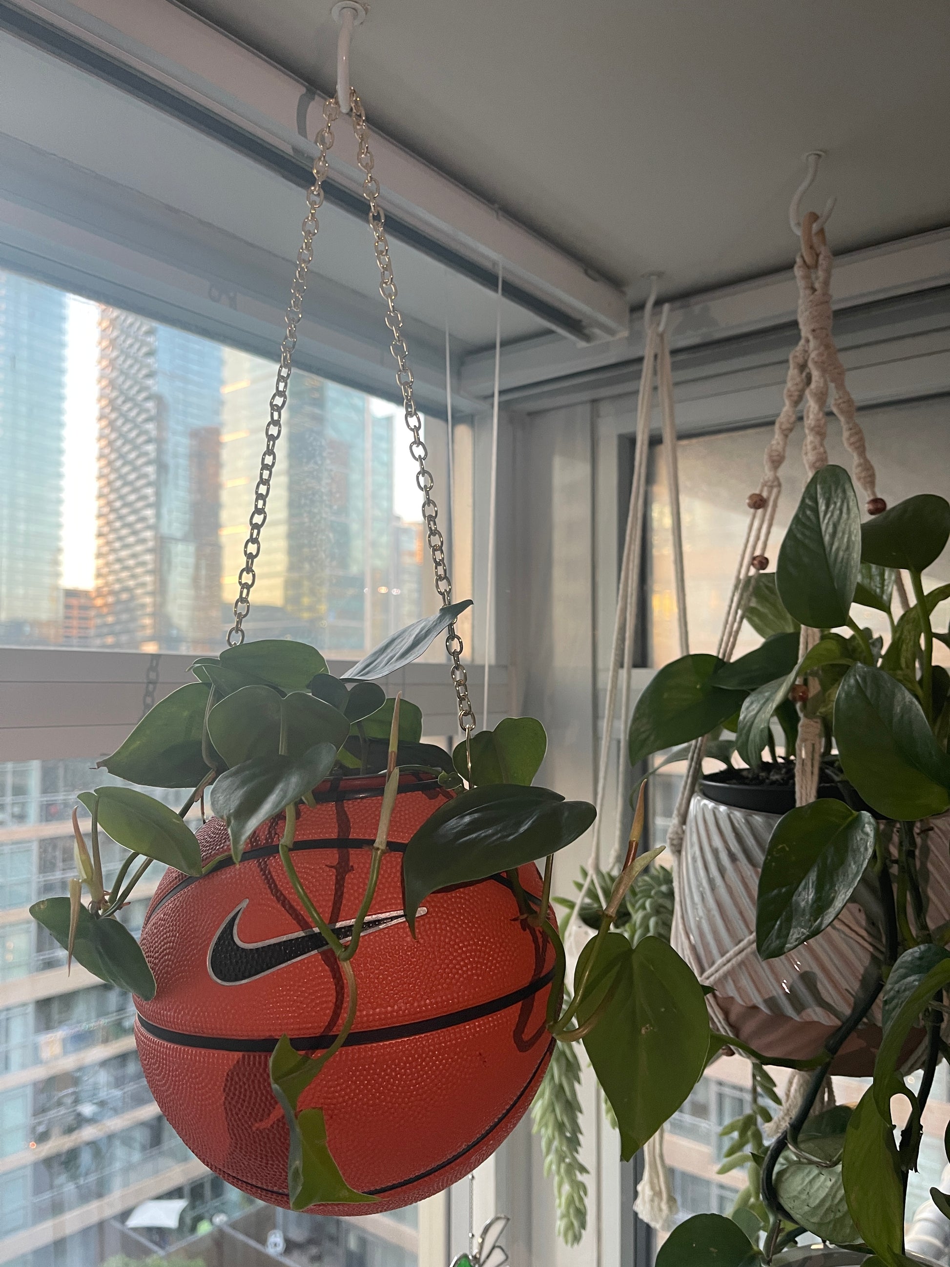 Nike Mini Basketball Hanging Planter (Gold Chain OG)