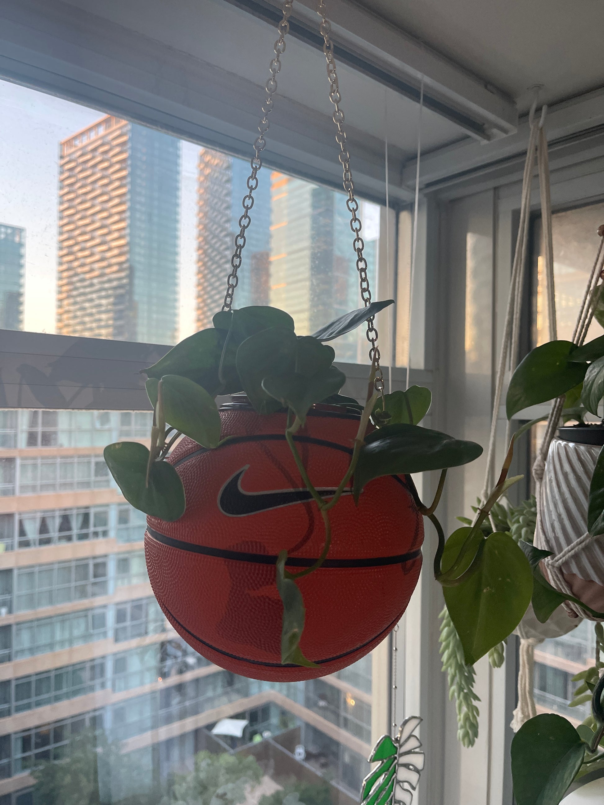 Nike Mini Basketball Hanging Planter (Gold Chain OG)