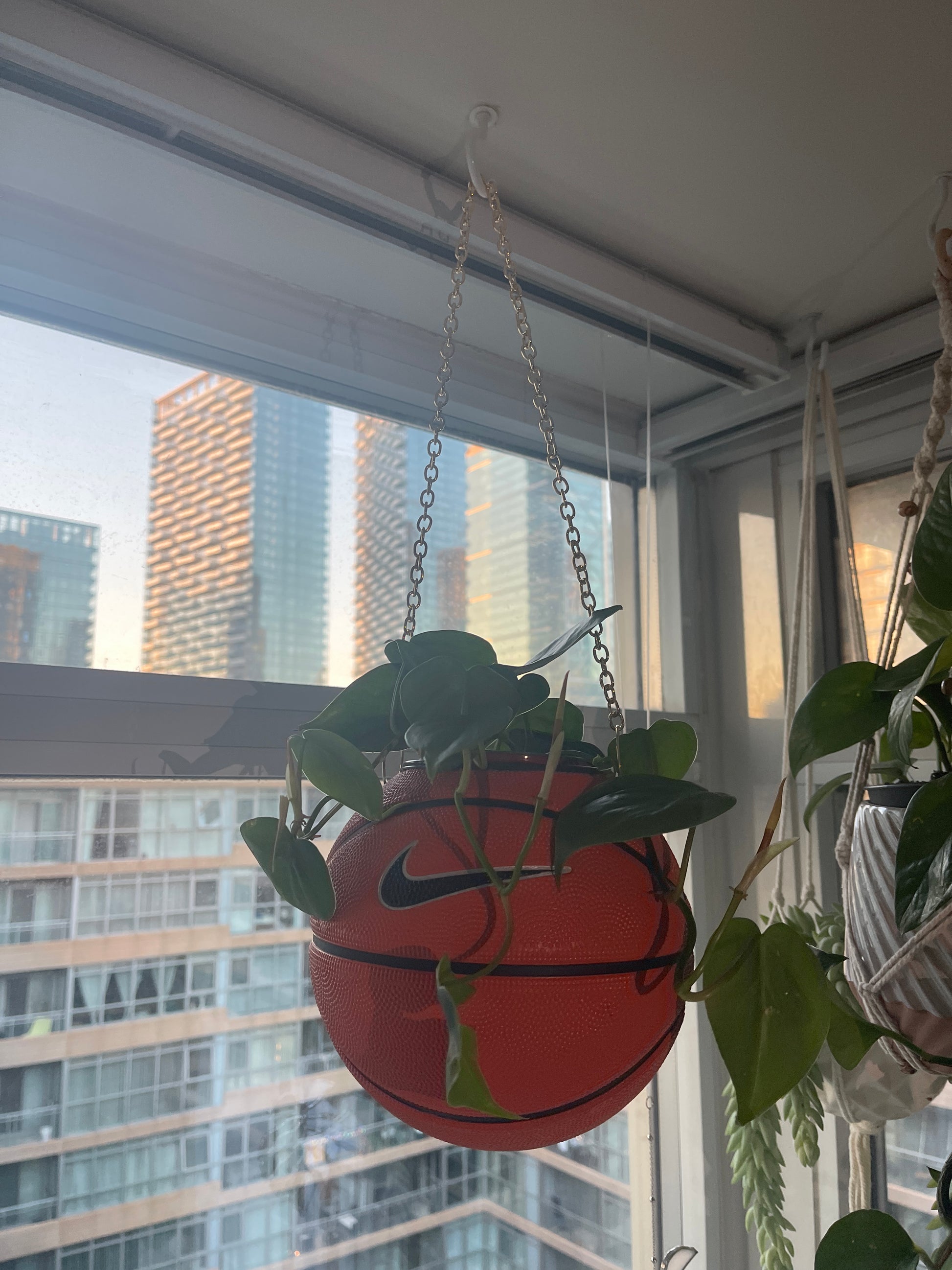 Nike Mini Basketball Hanging Planter (Gold Chain OG)