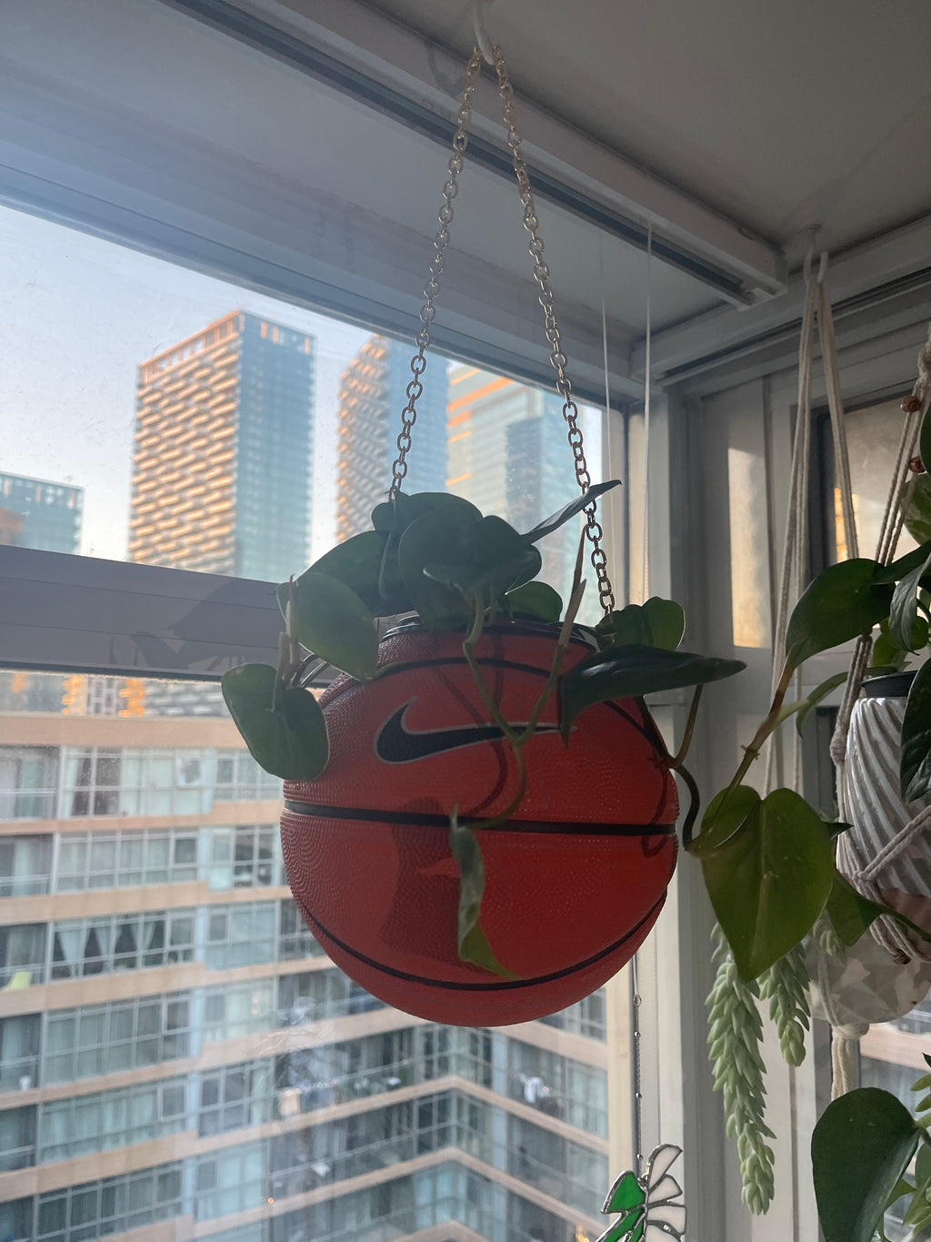 Nike Mini Basketball Hanging Planter (Gold Chain OG)
