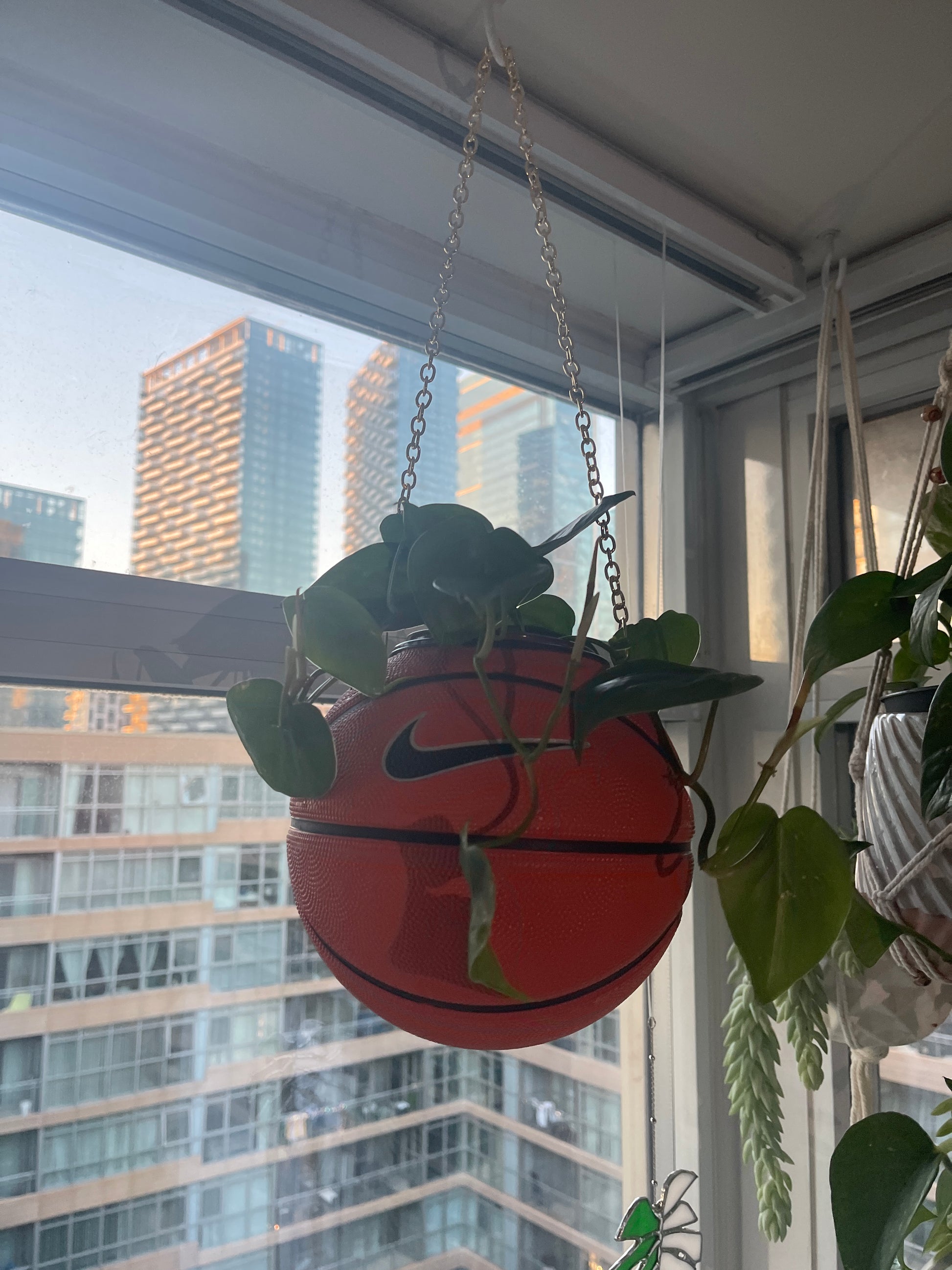 Nike Mini Basketball Hanging Planter (Gold Chain OG)