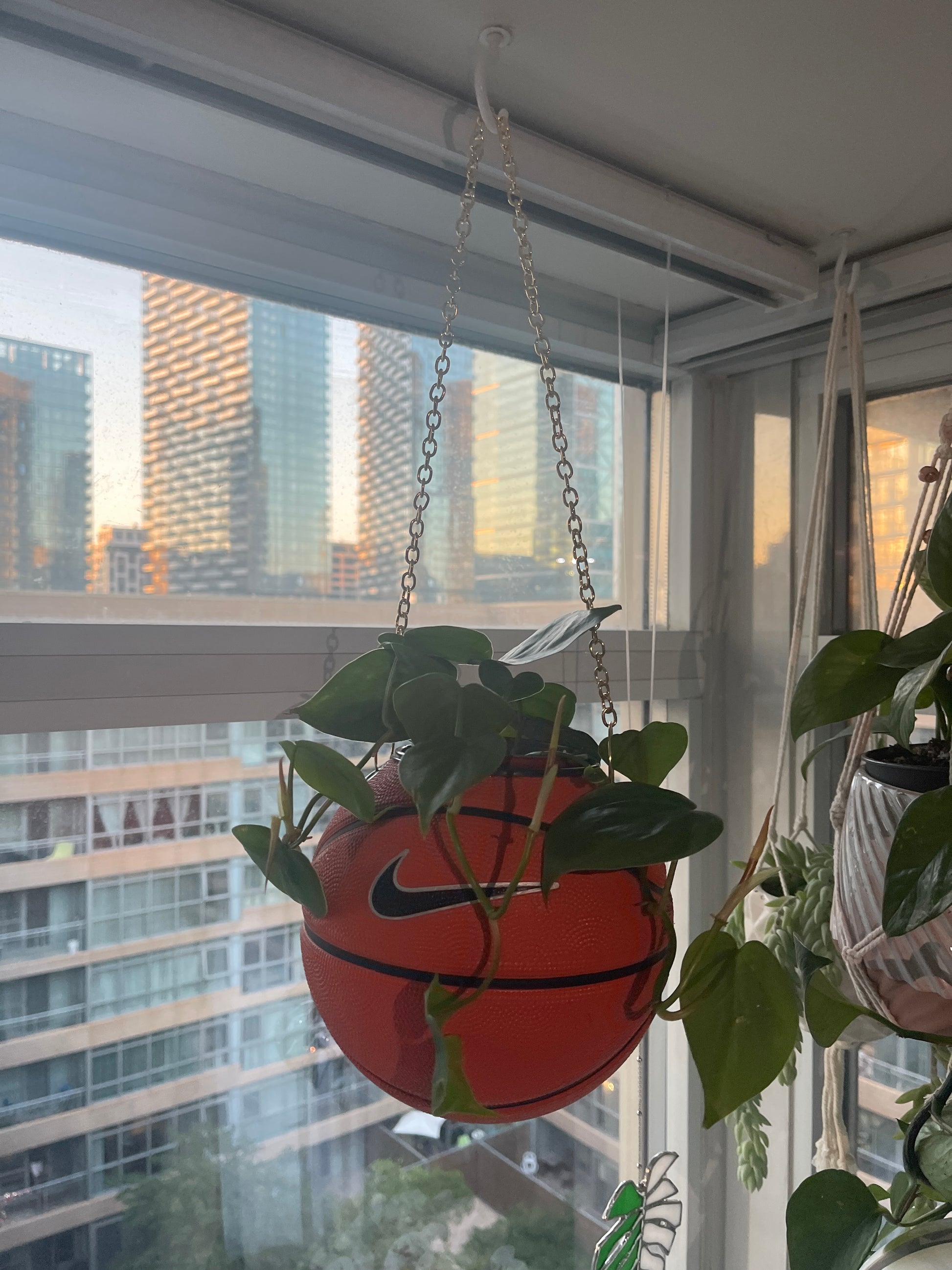 Nike Mini Basketball Hanging Planter (Gold Chain OG)
