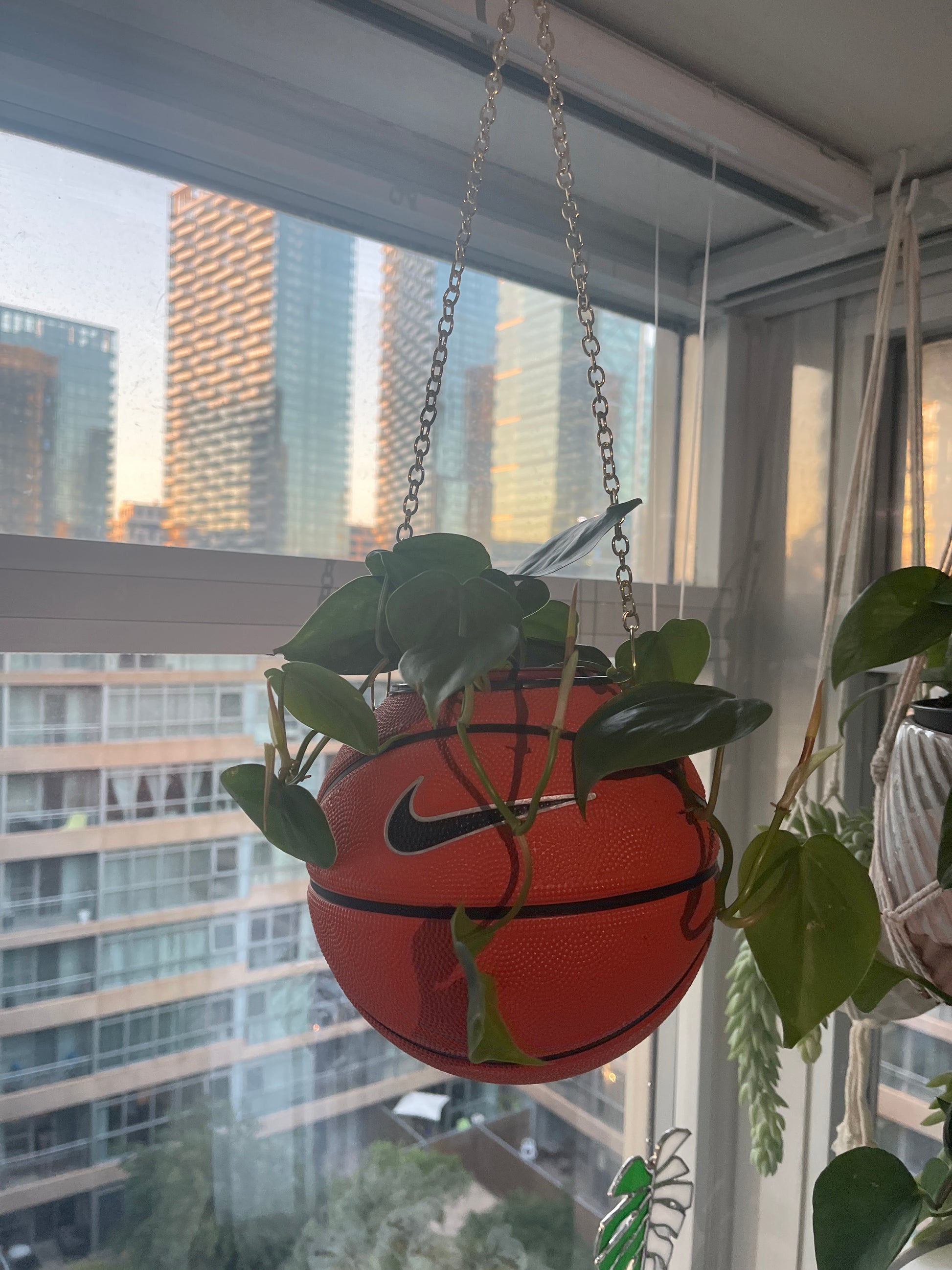 Nike Mini Basketball Hanging Planter (Gold Chain OG)