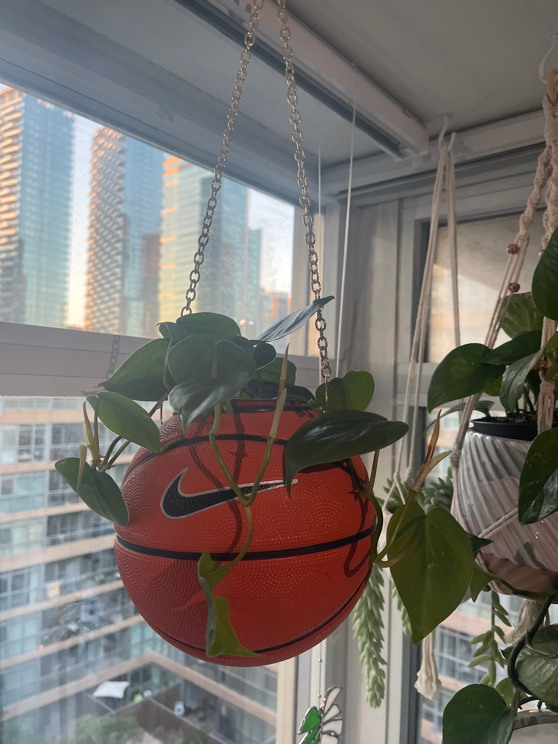 Nike Mini Basketball Hanging Planter (Gold Chain OG)