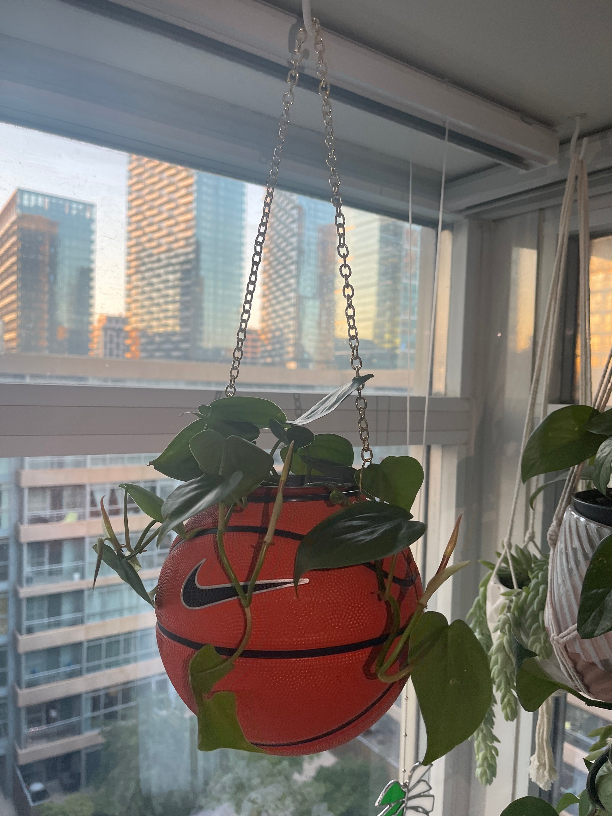 Nike Mini Basketball Hanging Planter (Gold Chain OG)