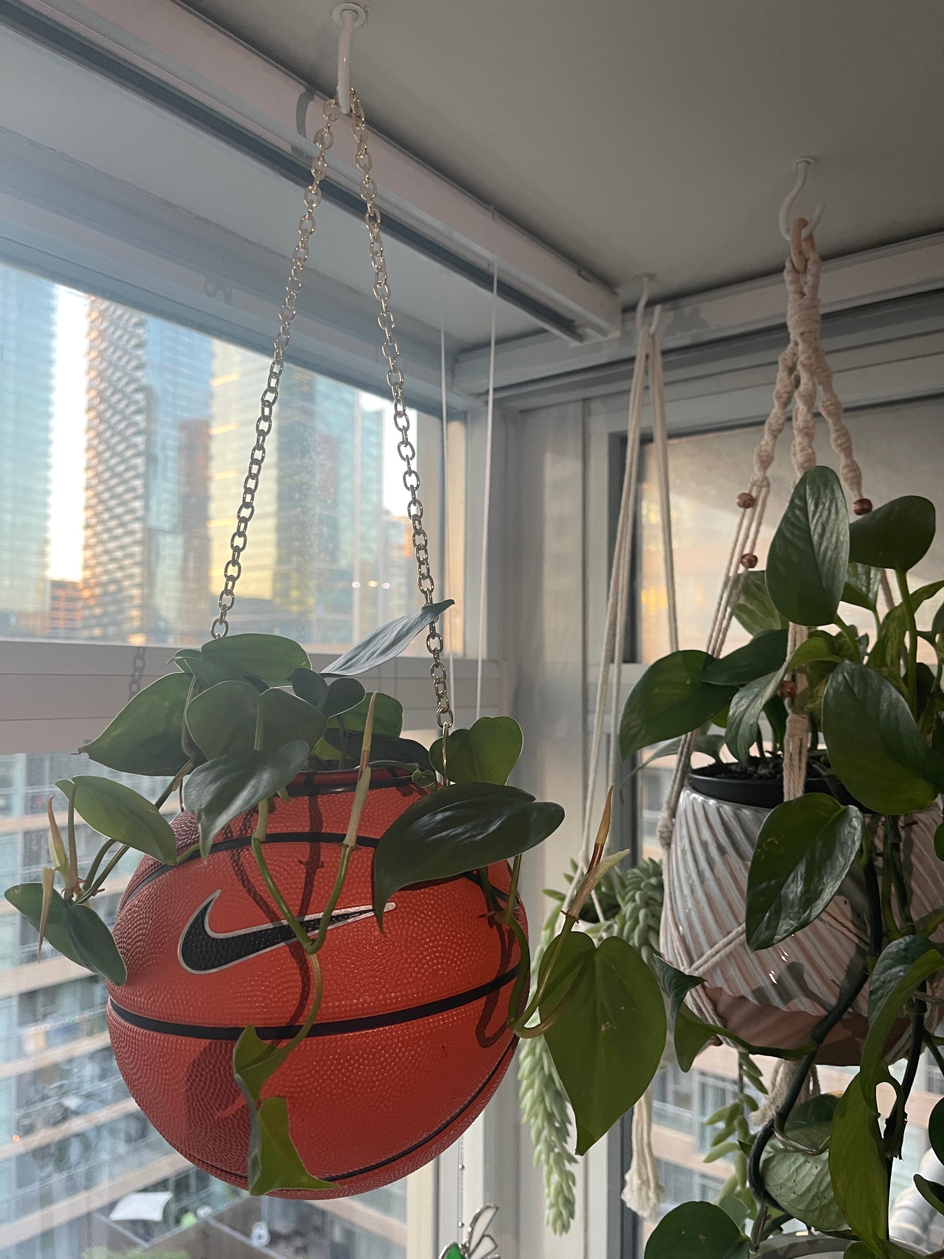Nike Mini Basketball Hanging Planter (Gold Chain OG)