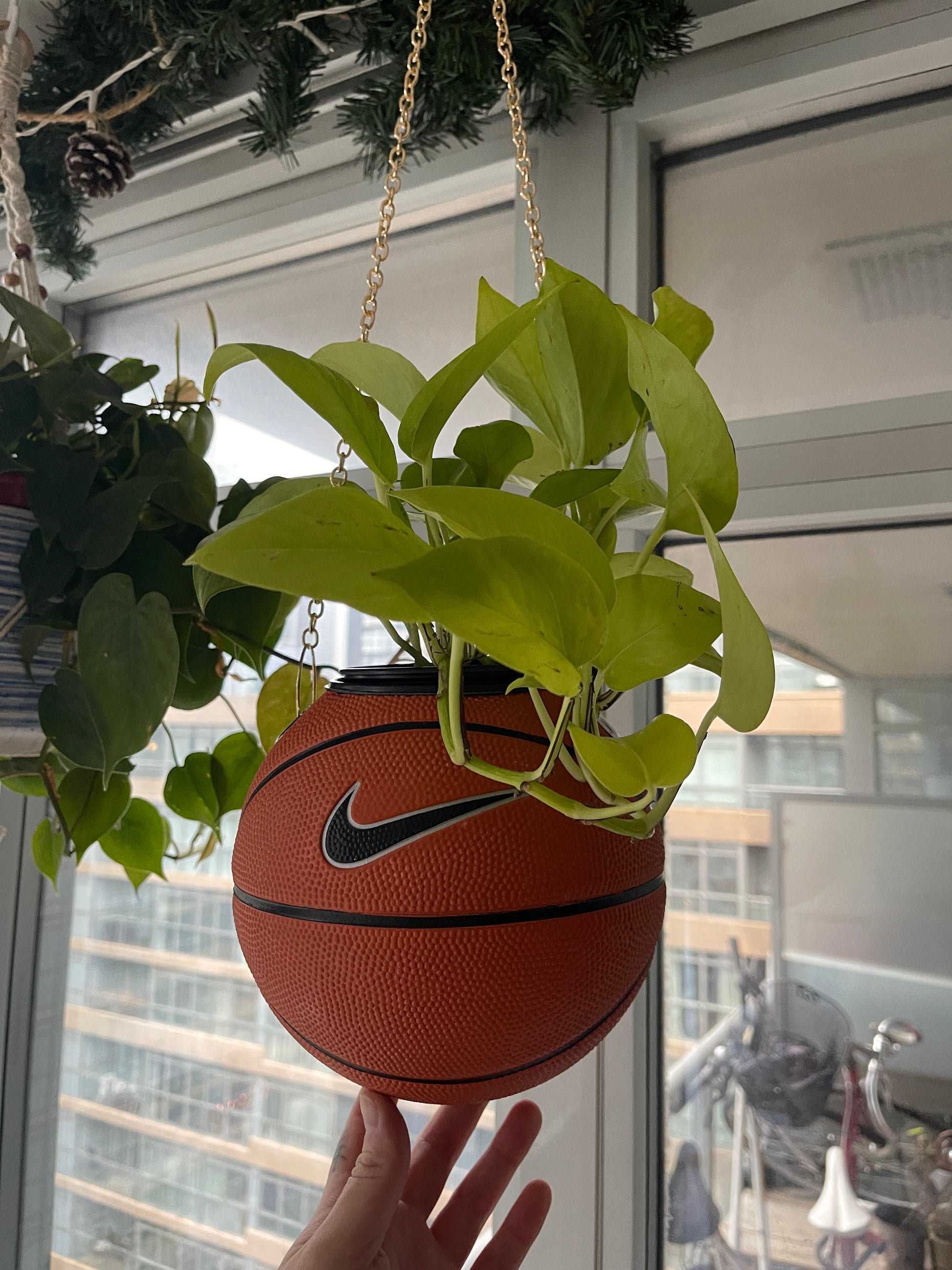 Nike Mini Basketball Hanging Planter (Gold Chain OG)