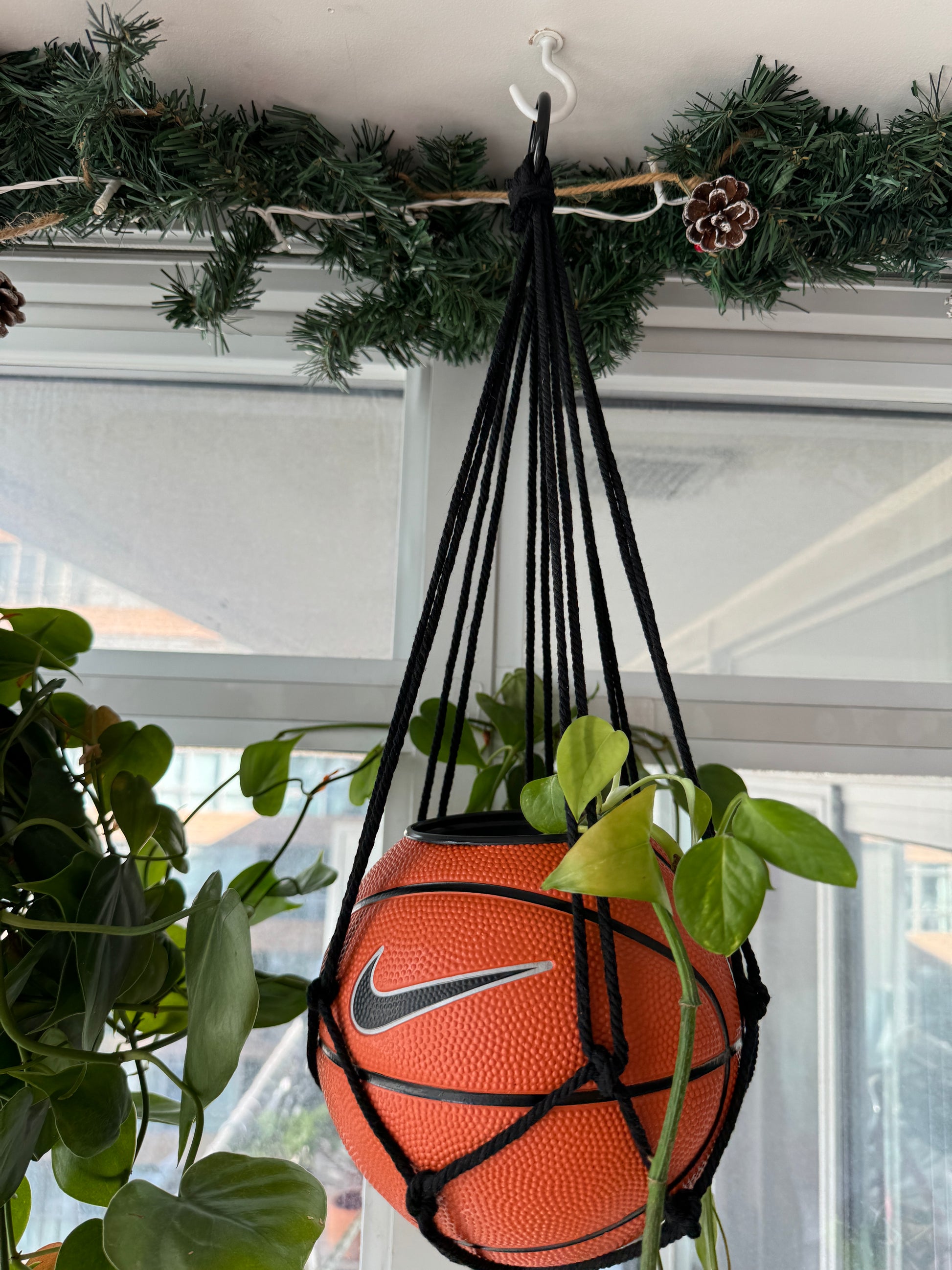 Nike Mini Basketball Hanging Planter (Black Macrame OG)