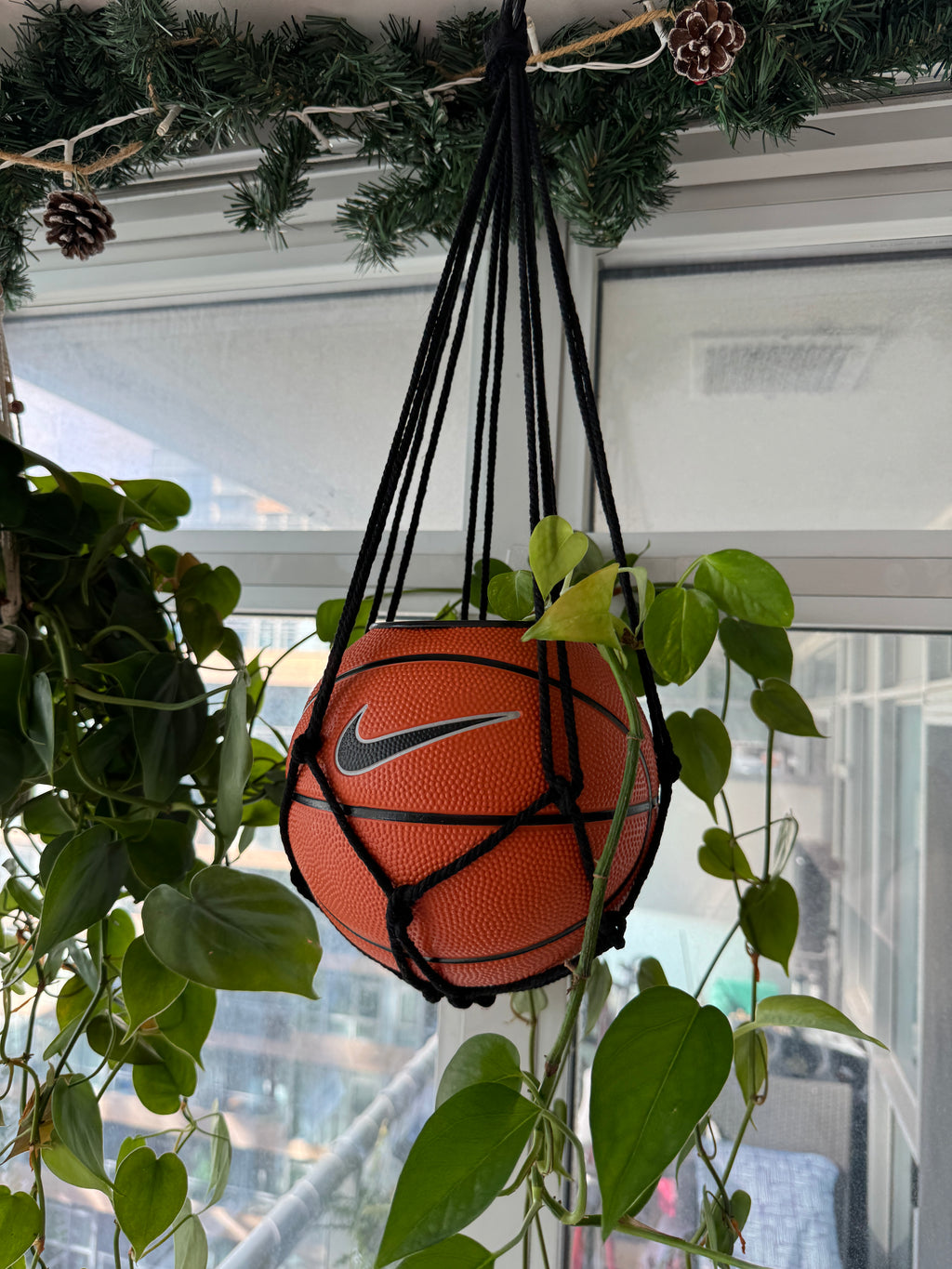Nike Mini Basketball Hanging Planter (Black Macrame OG)