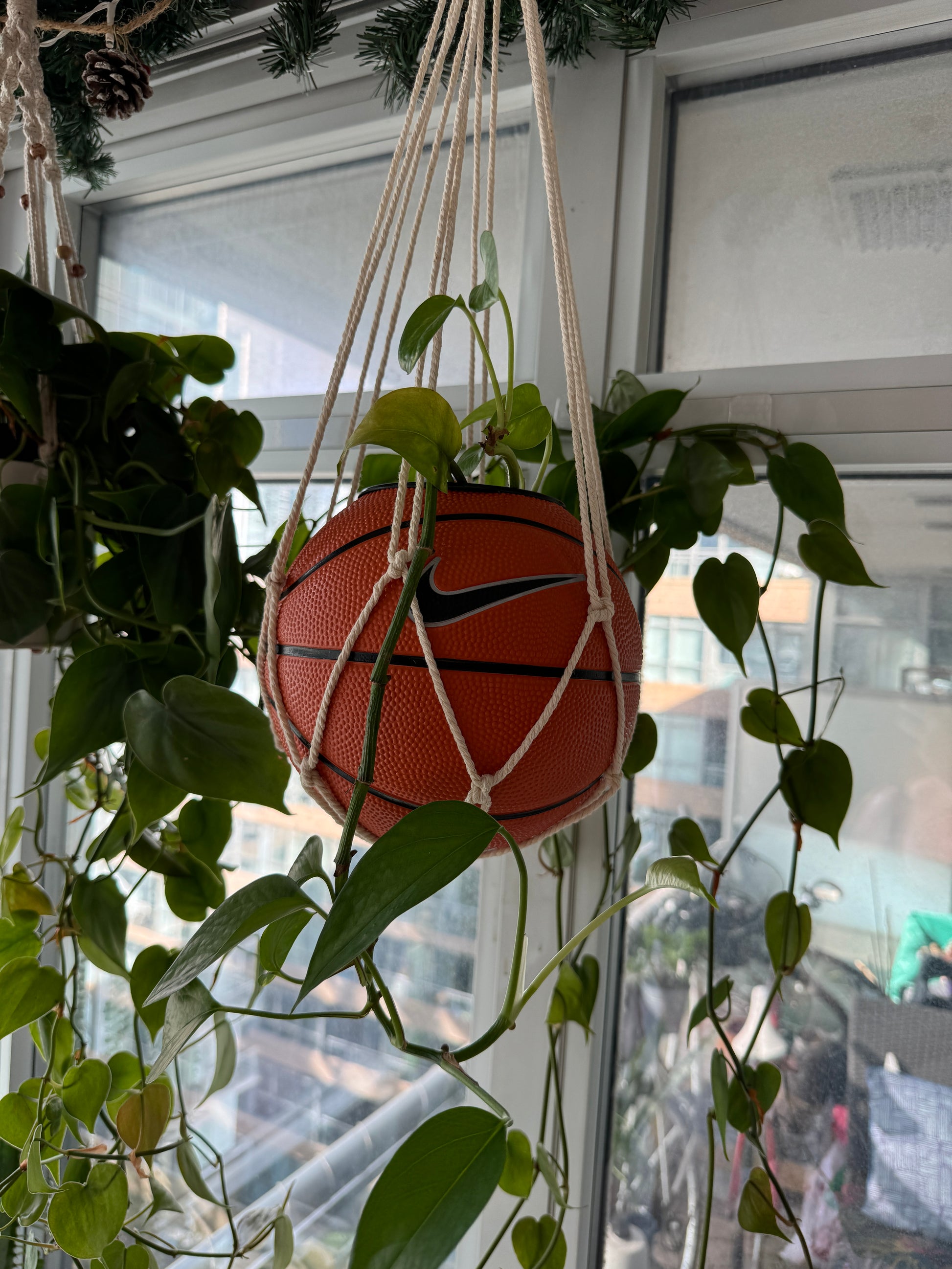 Nike Mini Basketball Hanging Planter (White Macrame OG)