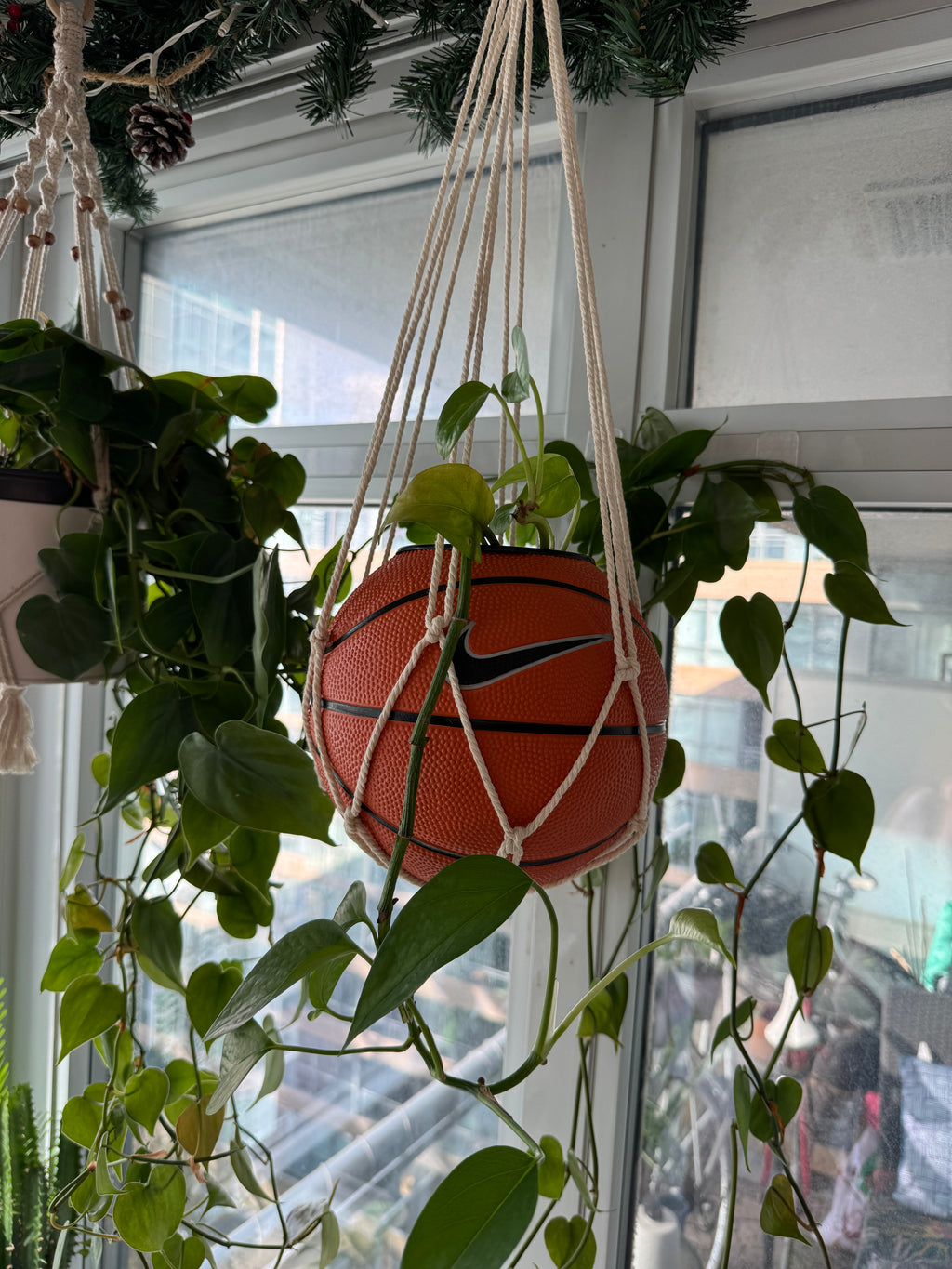 Nike Mini Basketball Hanging Planter (White Macrame OG)