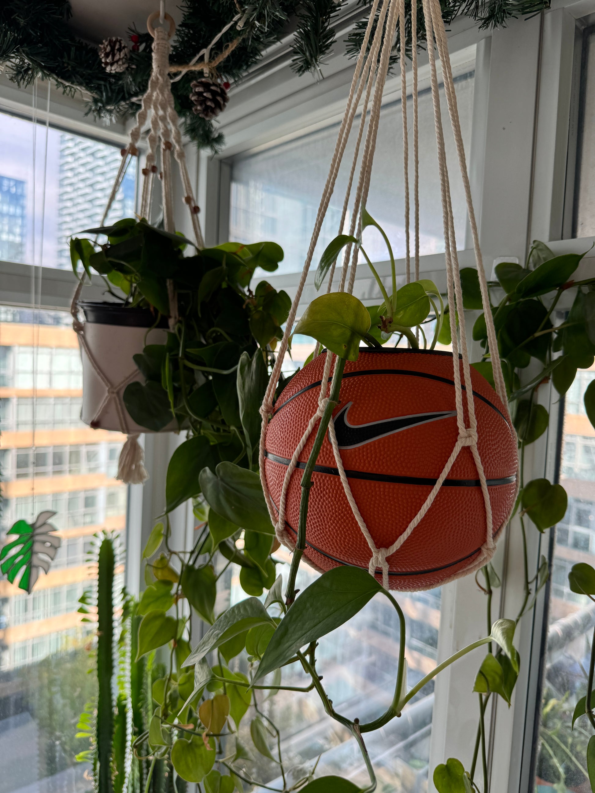 Nike Mini Basketball Hanging Planter (White Macrame OG)