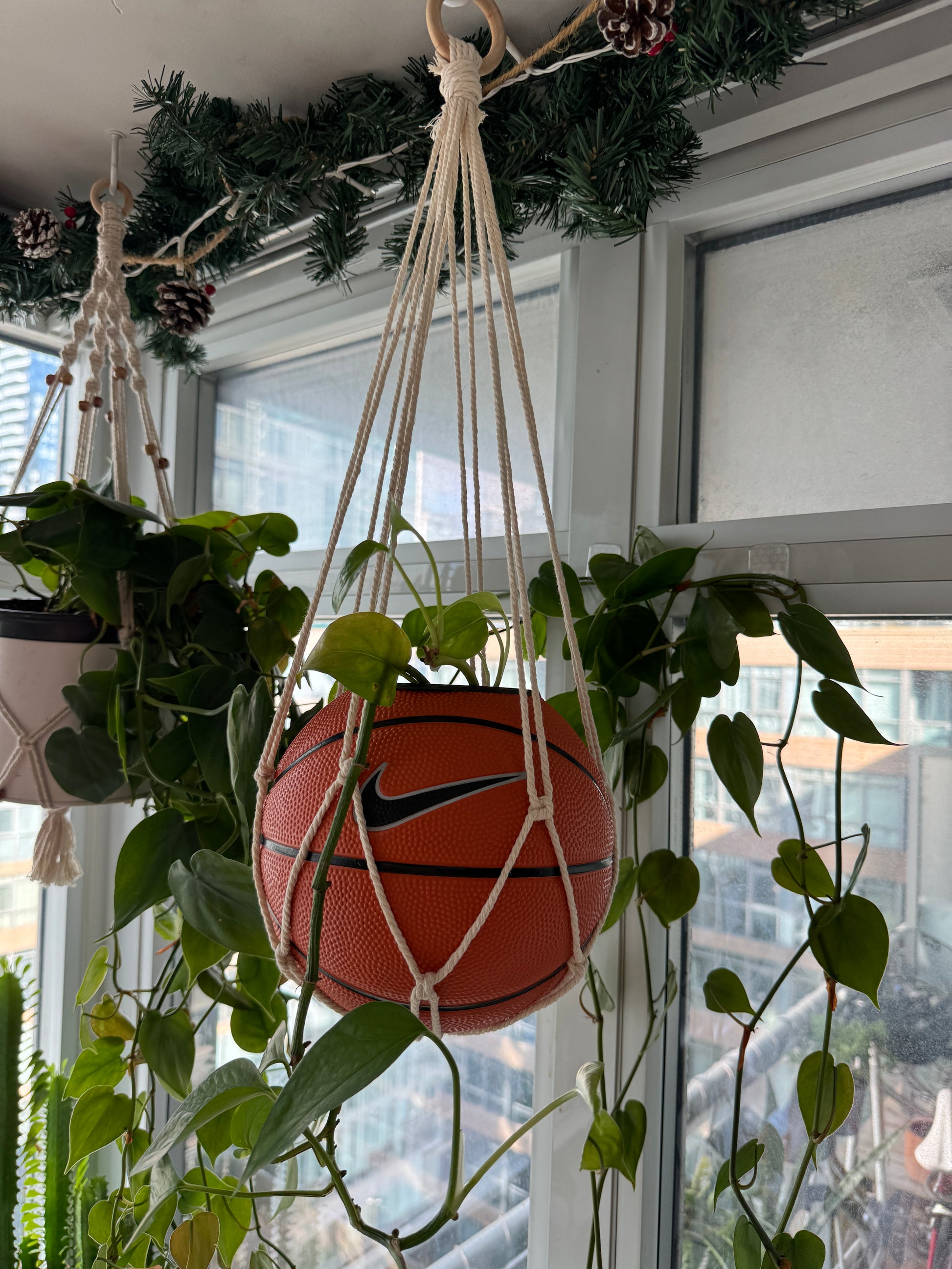 Nike Mini Basketball Hanging Planter (White Macrame OG)